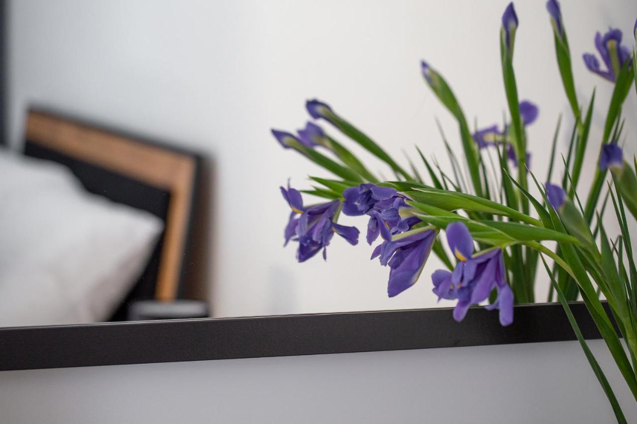 Apartament Ksiezycowy - Mlyn Maria - Art Apartments Wrocław Exteriör bild
